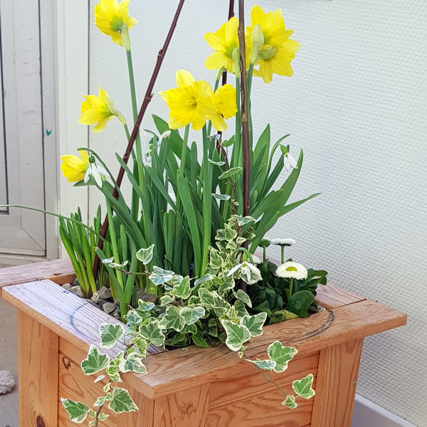 krans arrangemang
