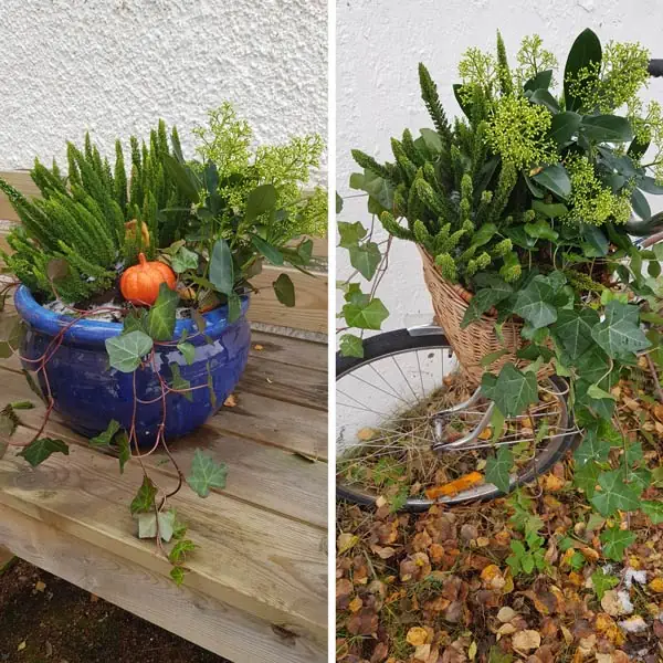 Beställ plantering i kruka eller korg plantering grönaverkstan utekruka eller korg