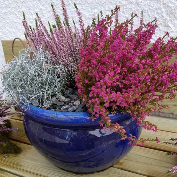 Blomsterarrangemang GrönaVerkstan
