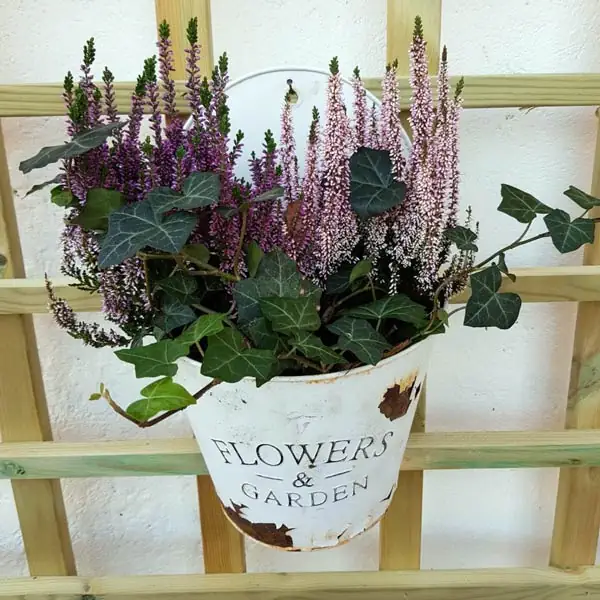 blomsterarrangemang utomhus